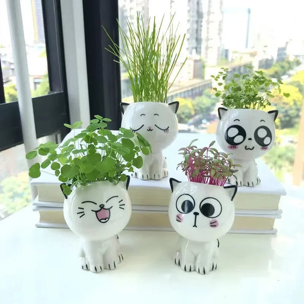 Pot de fleurs en céramique mini chat – Mignon et ludique - CHiCLiKi