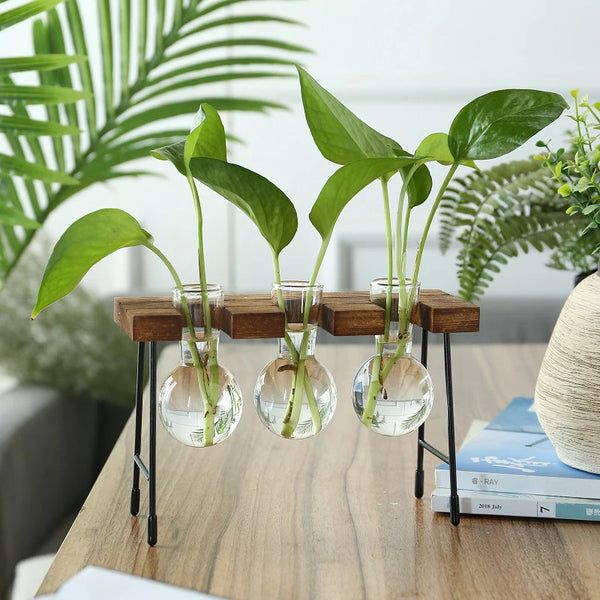 Vase de propagation en verre avec support vertical en bois - CHiCLiKi