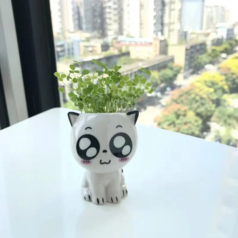 Pot de fleurs en céramique mini chat – Mignon et ludique - CHiCLiKi