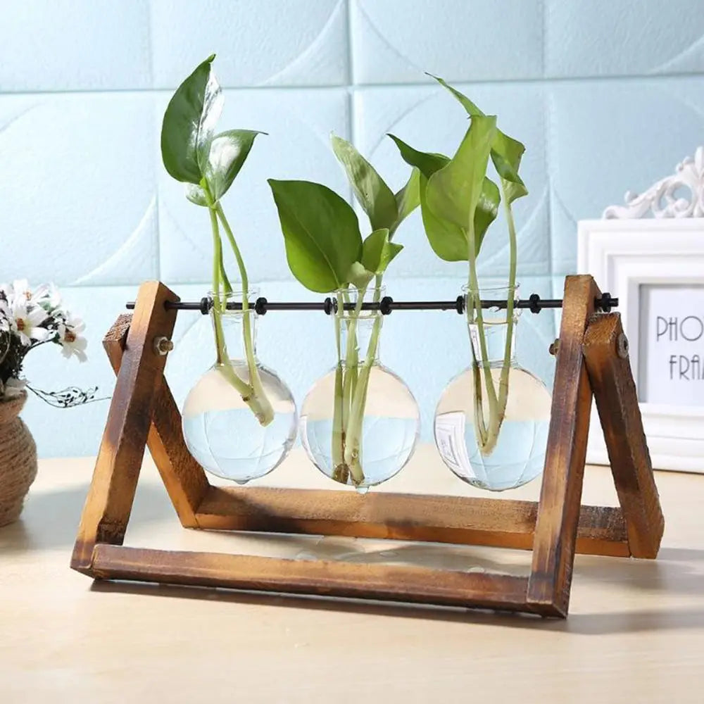Pot de fleurs Cadre en bois Vases de plantes hydroponiques Vase en verre - CHiCLiKi