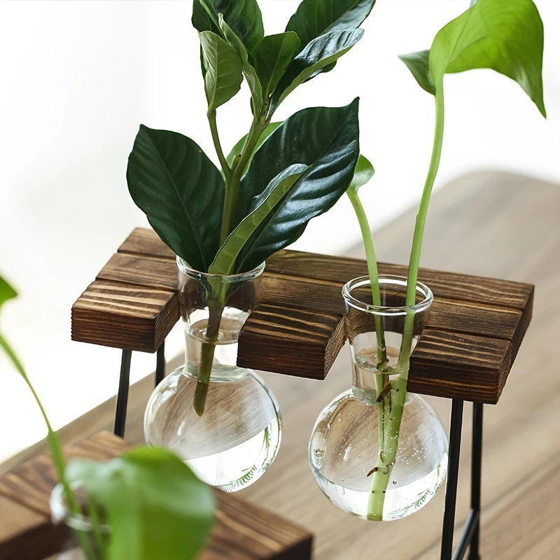 Vase de propagation en verre avec support vertical en bois - CHiCLiKi