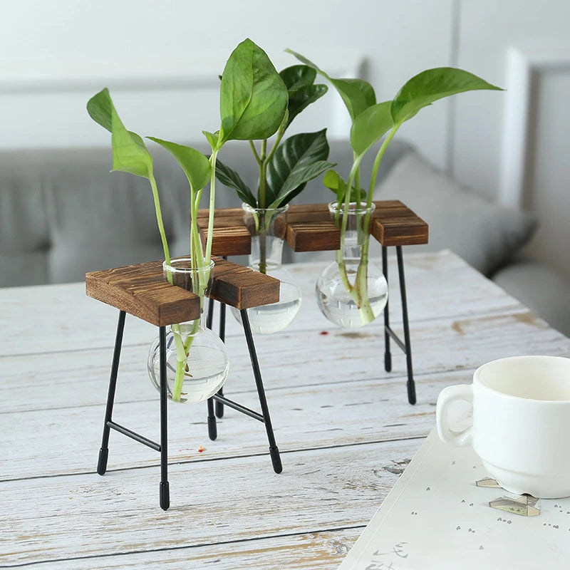 Vase de propagation en verre avec support vertical en bois - CHiCLiKi