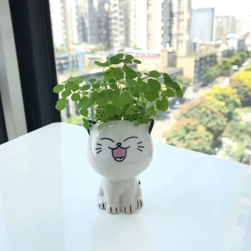 Pot de fleurs en céramique mini chat – Mignon et ludique - CHiCLiKi