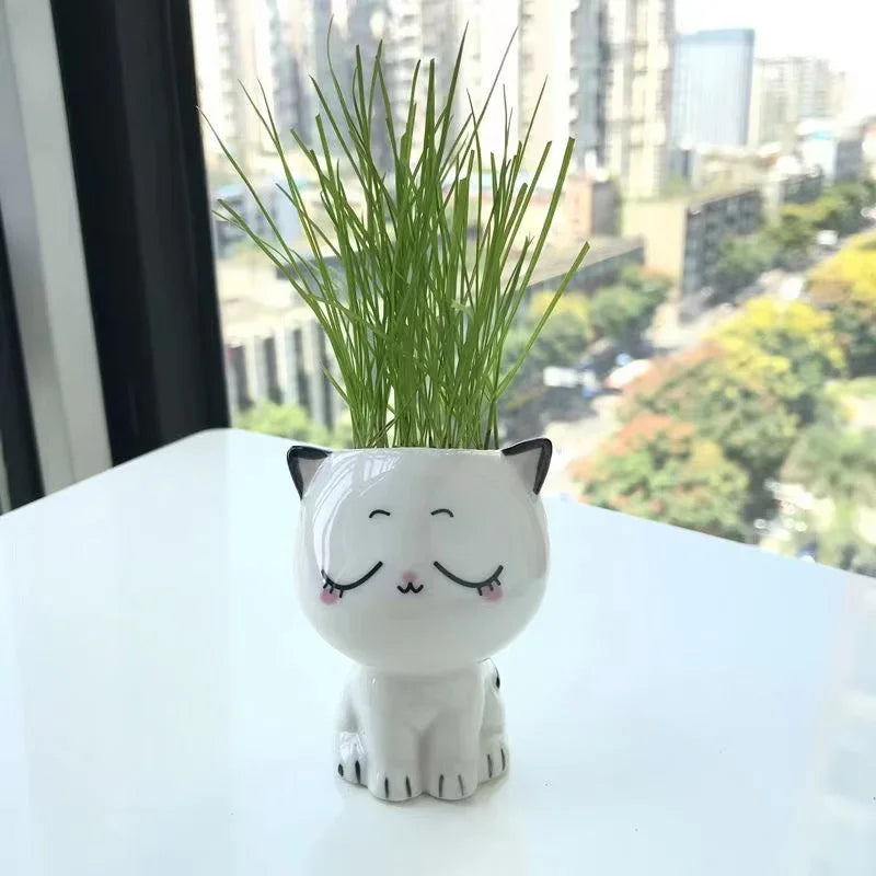 Pot de fleurs en céramique mini chat – Mignon et ludique - CHiCLiKi
