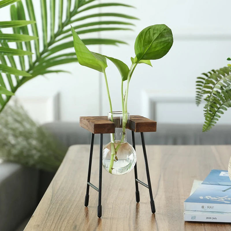 Vase de propagation en verre avec support vertical en bois - CHiCLiKi