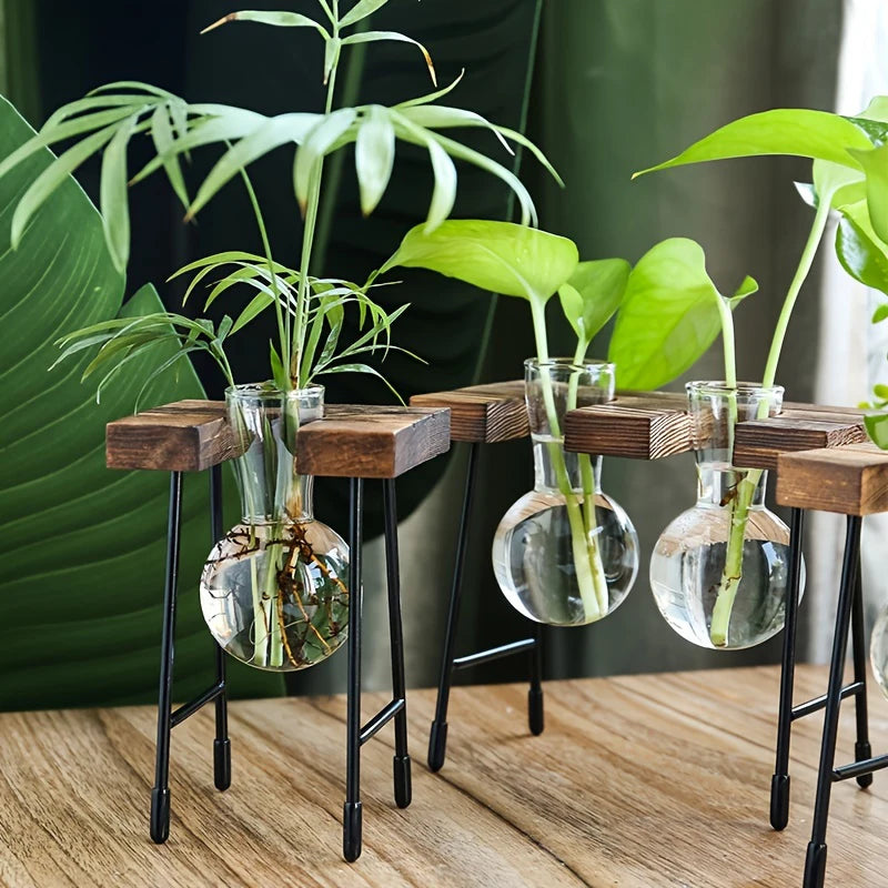 Vase de propagation en verre avec support vertical en bois - CHiCLiKi
