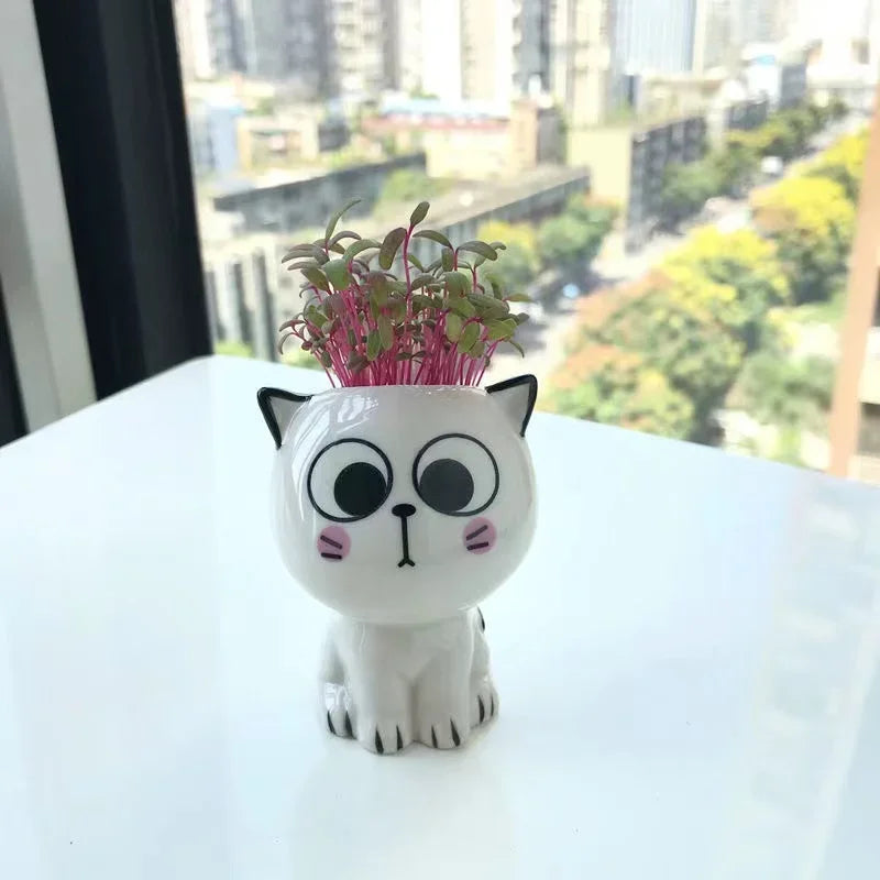 Pot de fleurs en céramique mini chat – Mignon et ludique - CHiCLiKi