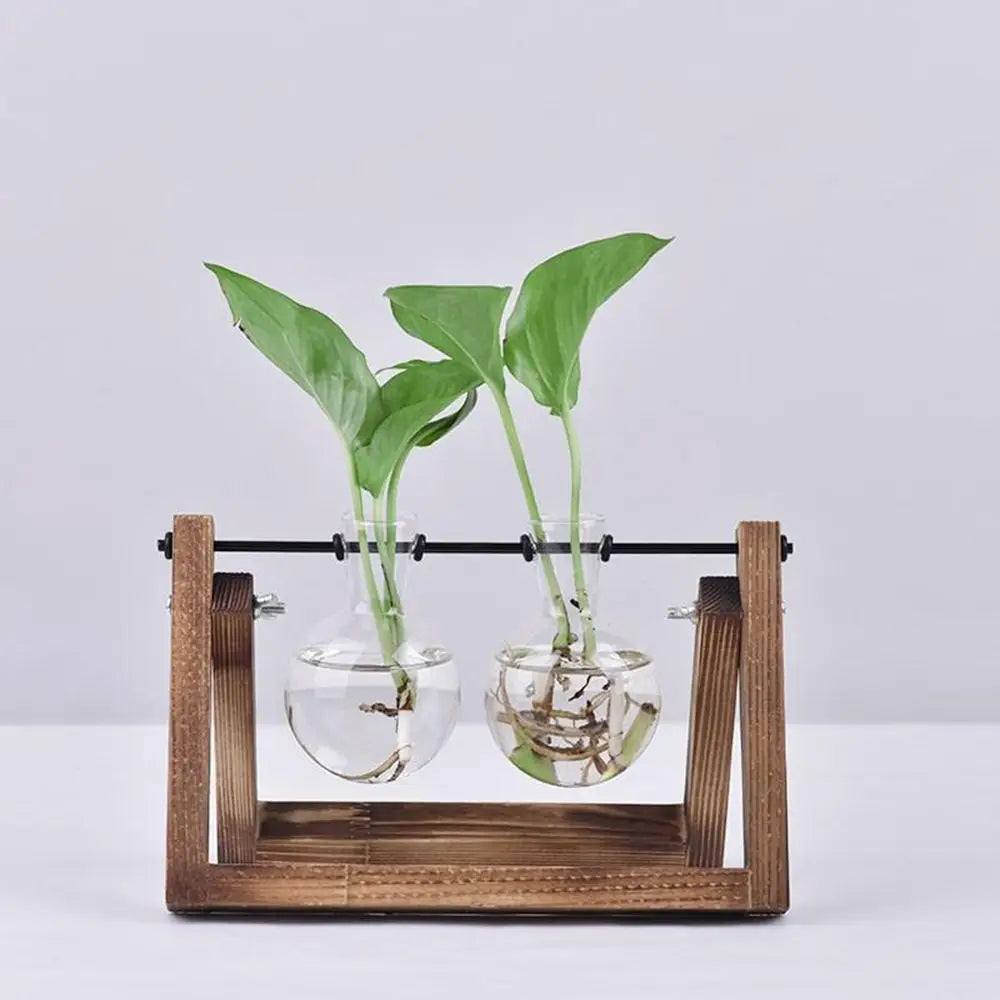 Pot de fleurs Cadre en bois Vases de plantes hydroponiques Vase en verre - CHiCLiKi
