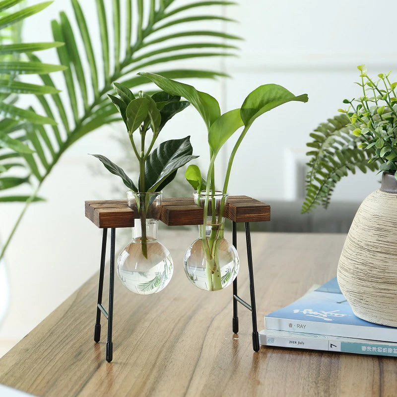 Vase de propagation en verre avec support vertical en bois - CHiCLiKi