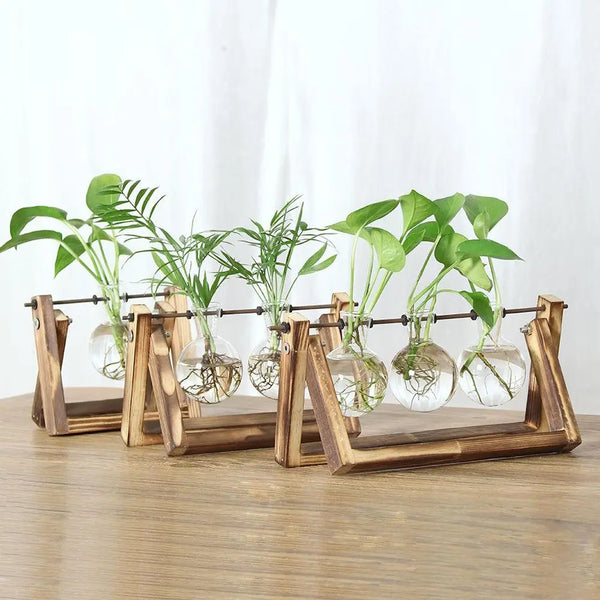 Pot de fleurs Cadre en bois Vases de plantes hydroponiques Vase en verre - CHiCLiKi