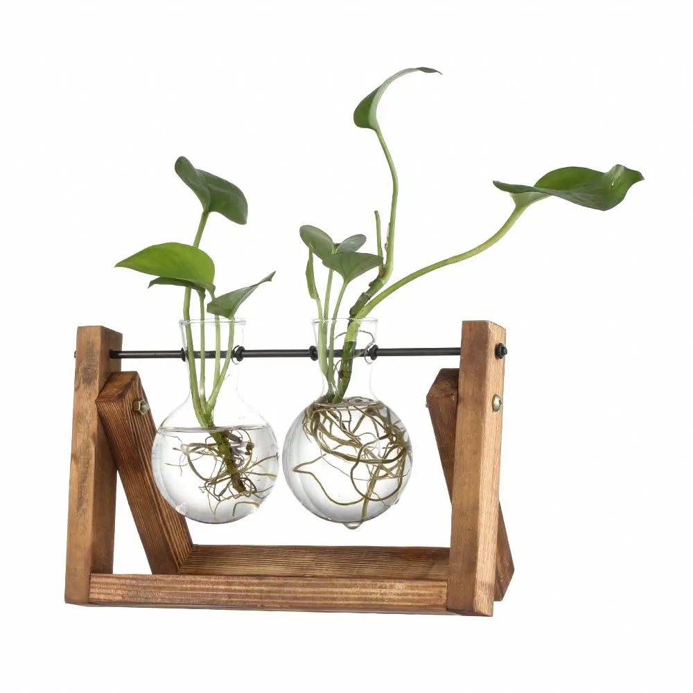 Pot de fleurs Cadre en bois Vases de plantes hydroponiques Vase en verre - CHiCLiKi