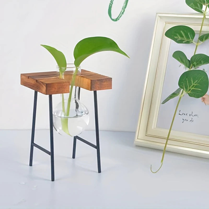 Vase de propagation en verre avec support vertical en bois - CHiCLiKi