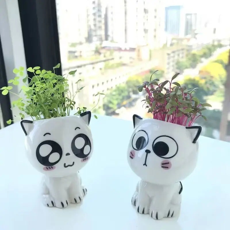 Pot de fleurs en céramique mini chat – Mignon et ludique - CHiCLiKi