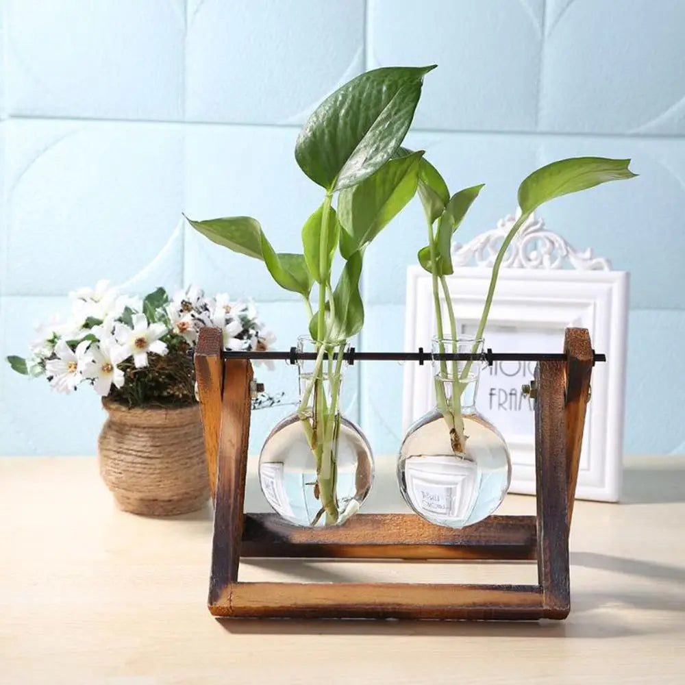 Pot de fleurs Cadre en bois Vases de plantes hydroponiques Vase en verre - CHiCLiKi