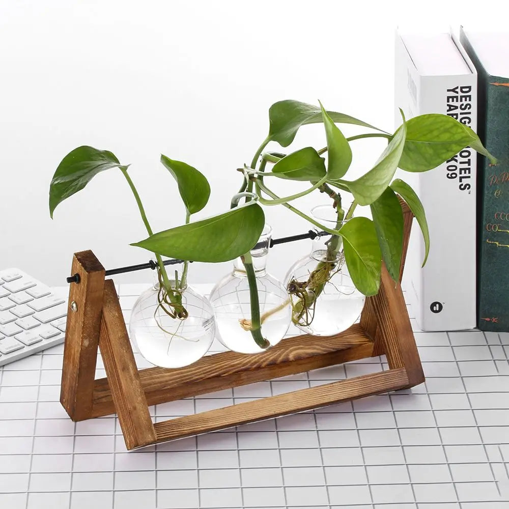Pot de fleurs Cadre en bois Vases de plantes hydroponiques Vase en verre - CHiCLiKi