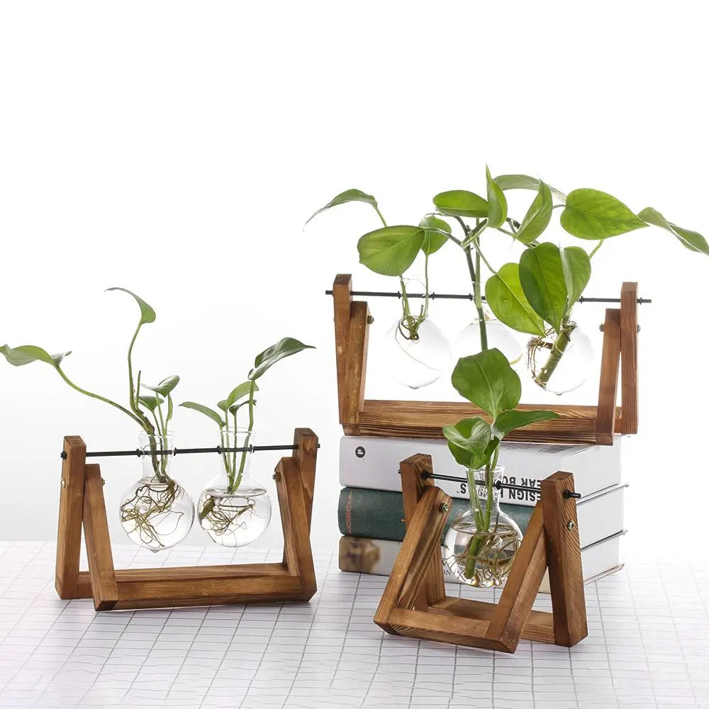 Pot de fleurs Cadre en bois Vases de plantes hydroponiques Vase en verre - CHiCLiKi