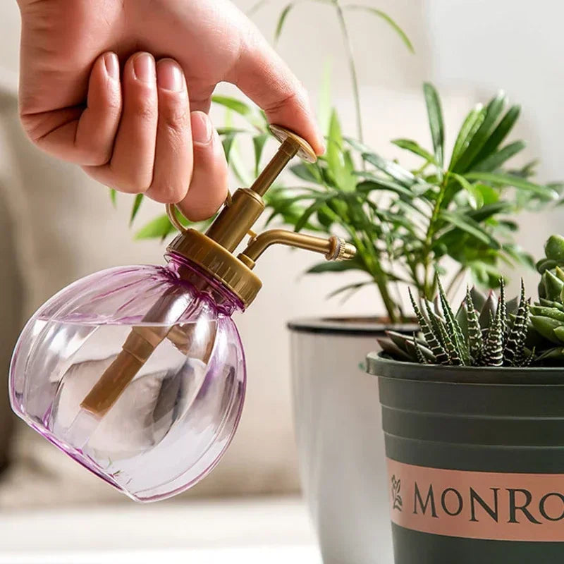 Verre coloré plante Mister Spray Bottle - CHiCLiKi