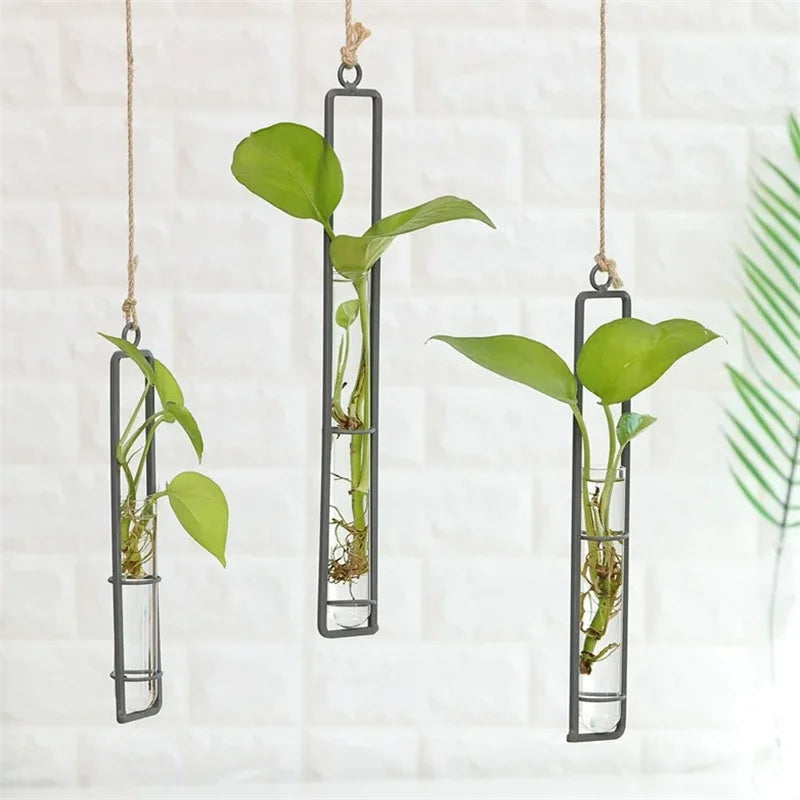 Décoration tubes à essai pour suspendre des minivases - CHiCLiKi