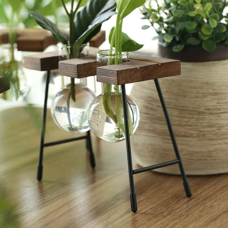 Vase de propagation en verre avec support vertical en bois - CHiCLiKi