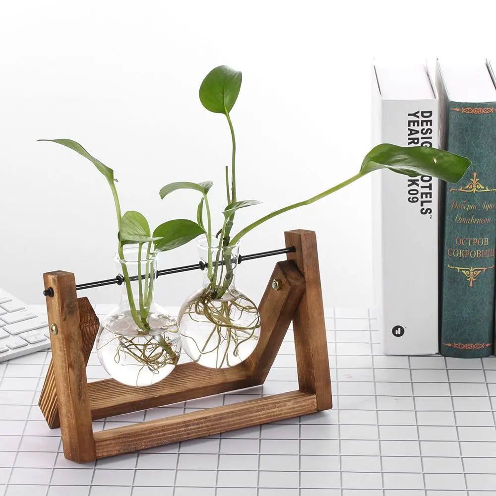 Pot de fleurs Cadre en bois Vases de plantes hydroponiques Vase en verre - CHiCLiKi