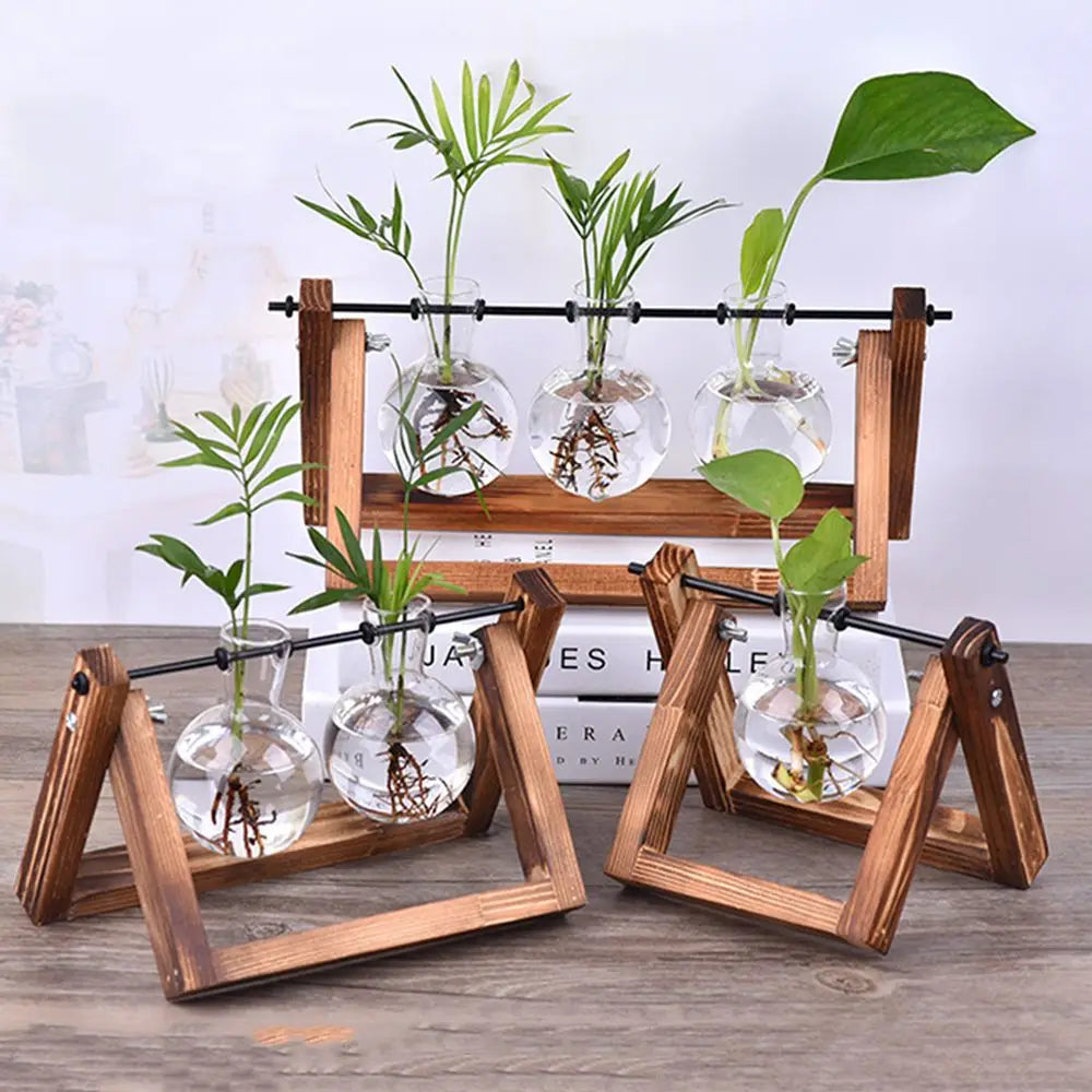 Pot de fleurs Cadre en bois Vases de plantes hydroponiques Vase en verre - CHiCLiKi