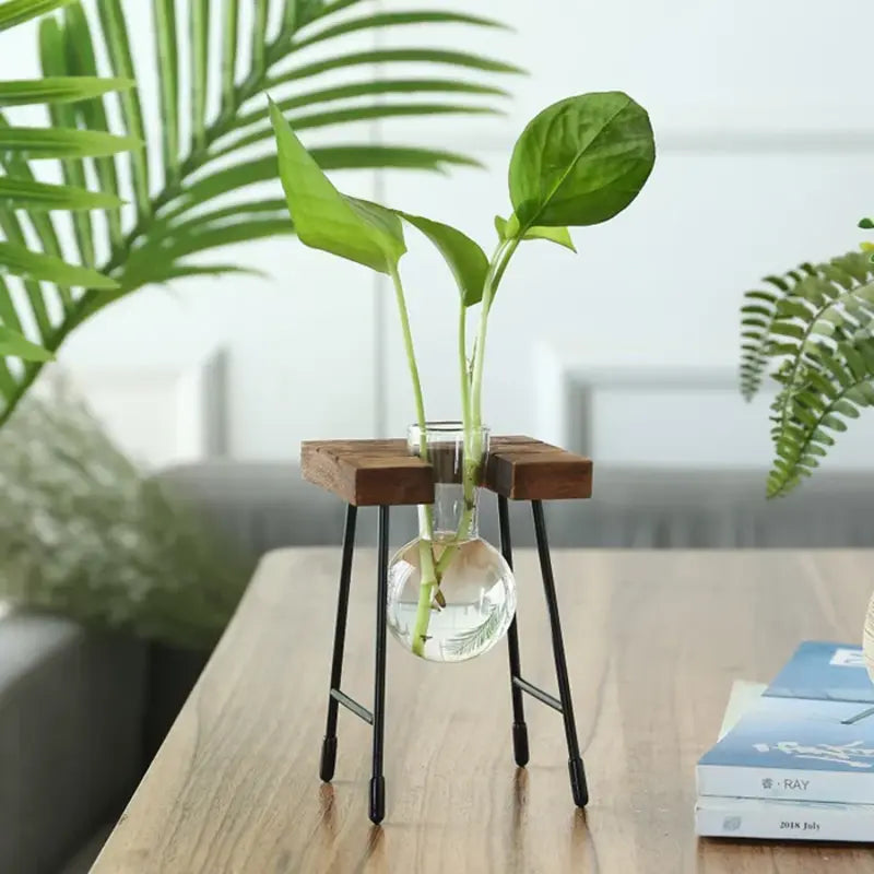 Vase propagation
